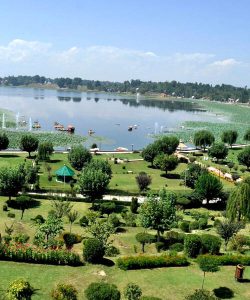 Manasbal Lake (birdwatching)